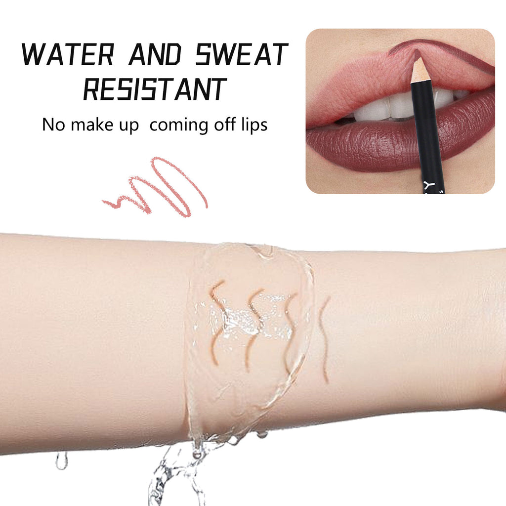 12-Color Matte Lipstick and Liner Set